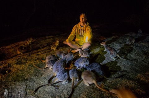 International Coaches And Tours - E Caravan Parks 5