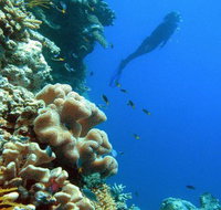 Reef Magic Cruises - E Caravan Parks