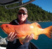 Gone Fishing by Coral Sea Fishing Charters Airlie Beach - E Caravan Parks