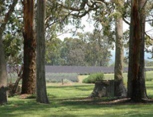 Amosfield QLD E Caravan Parks