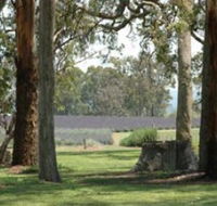 Aloomba Lavender - E Caravan Parks