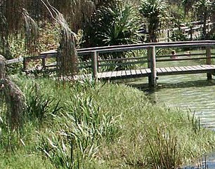 Australia Fraser Island Escape - E Caravan Parks 1