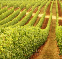 Wignalls Winery - E Caravan Parks