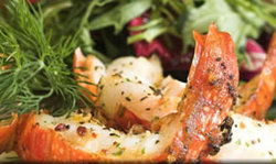 Fishermans Wharf Tavern - E Caravan Parks 1