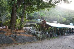 Ellis Beach Bar & Grill - E Caravan Parks 0