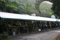 Ellis Beach Bar & Grill - E Caravan Parks 1