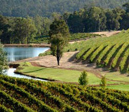 Brookhampton Estate Vineyard - E Caravan Parks 0