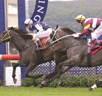 Gosford Race Club - E Caravan Parks