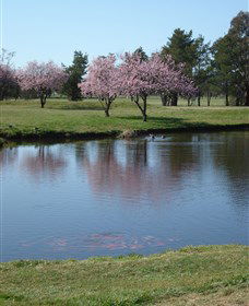 RMC Golf Club - E Caravan Parks 0