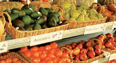 Supply Jervis Bay - E Caravan Parks 2