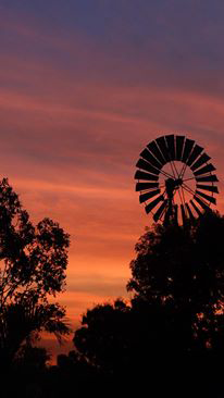 Emerald Springs Roadhouse - E Caravan Parks 5