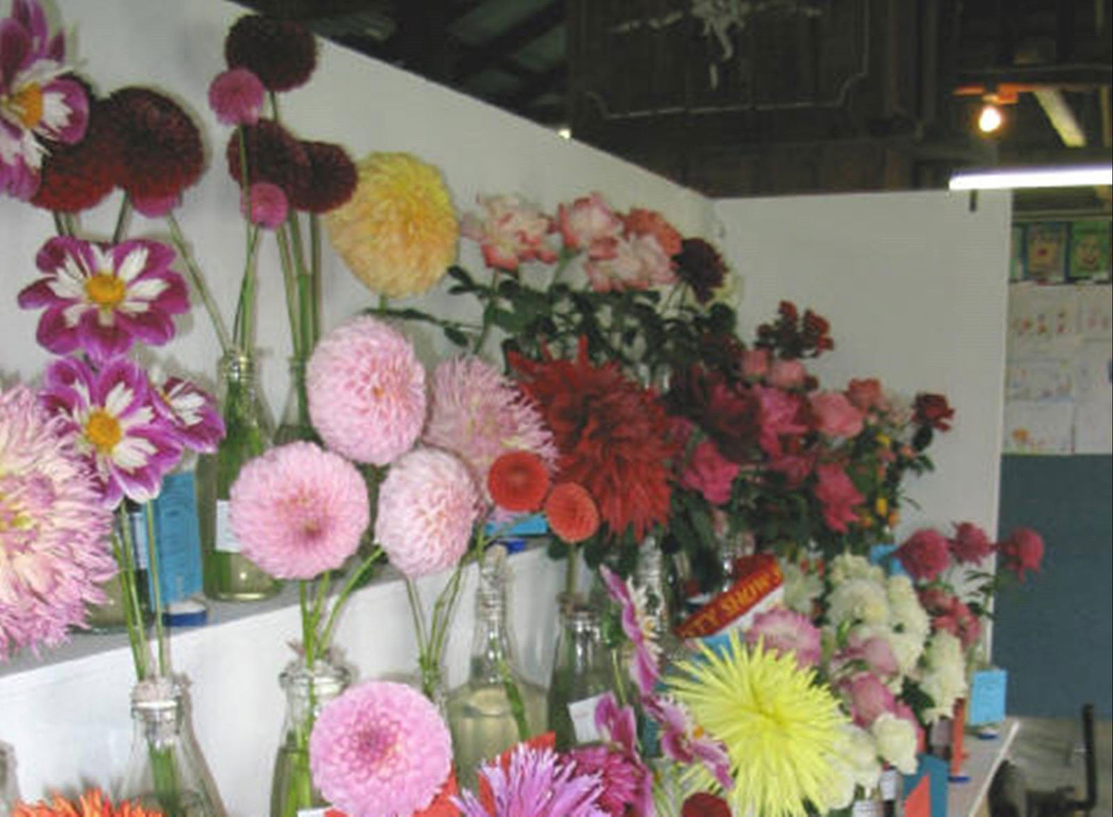 Numbla Vale NSW E Caravan Parks