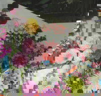 Dalgety Show - E Caravan Parks