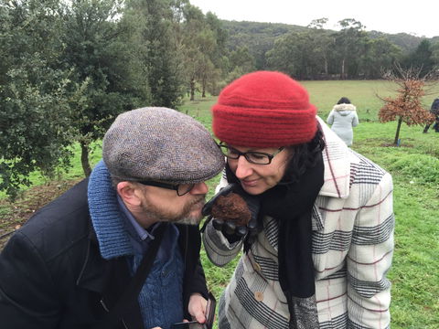 Feast And Forage - Craig's Royal Hotel - E Caravan Parks 1