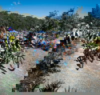 JetBlack Wild Wombat MTB Challenge - E Caravan Parks