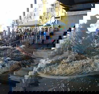 Narrabri Show - E Caravan Parks