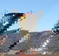 Nimbin Poetry World Cup - E Caravan Parks