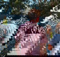 The Big Picture Fest Newcastle - E Caravan Parks