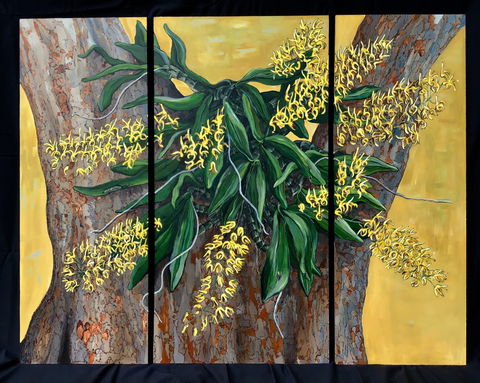 A Still Life - Solo Exhibition  Karen Sedaitis - E Caravan Parks 1