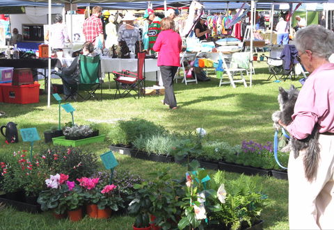 Batemans Bay Sunday Market - E Caravan Parks 2