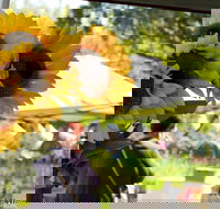 Blackville Arts and Market Day - E Caravan Parks