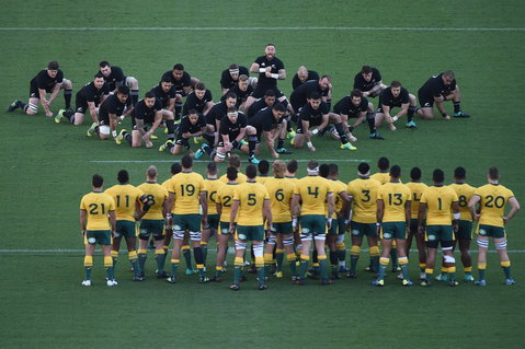 Bledisloe Cup: Qantas Wallabies Versus All Blacks - E Caravan Parks 0