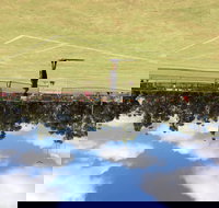 Charlton Lawn Tennis Club Annual Tournament - E Caravan Parks