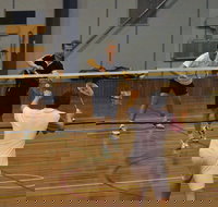 Charlton Badminton Club Ladies Tournament - E Caravan Parks