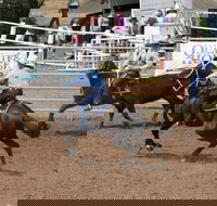 Dalgety Team Penning - E Caravan Parks