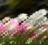 Floriade Reimagined - E Caravan Parks