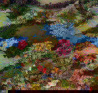 Glenrock Gardens Open Garden - E Caravan Parks