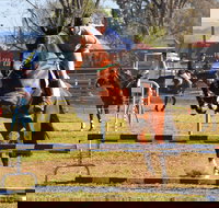 Glen Innes Pastoral and Agricultural Show - E Caravan Parks