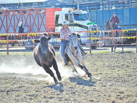 Gresford  Campdraft And Rodeo - E Caravan Parks 0