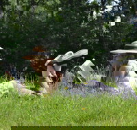 High Country Writers Festival - E Caravan Parks