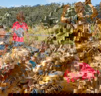 Mini Muddies Obstacle Challenge at Bunnamagoo Estate - E Caravan Parks