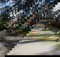 Ned Kelly Chase - E Caravan Parks