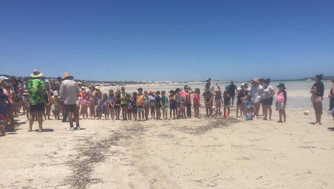 Perlubie Beach Sports Day - E Caravan Parks 1