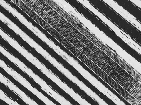 WA Now – Tom Mùller: Monolith Scores - E Caravan Parks 0