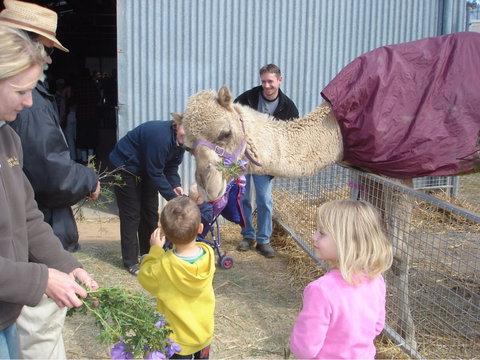 Wangaratta Show - E Caravan Parks 1