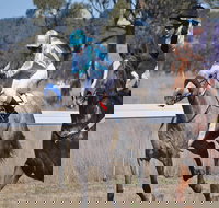 Wean Picnic Races - E Caravan Parks