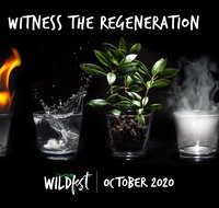 Wildfest - Annual Festival - E Caravan Parks