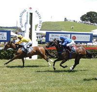 Bong Bong Picnic Races - E Caravan Parks