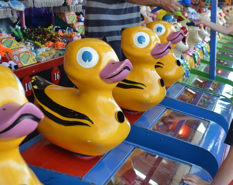 Casino Agricultural Show - E Caravan Parks 0