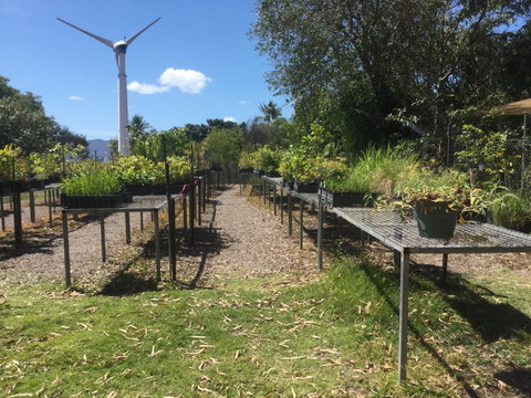 Conservation Volunteers Australia Townsville - Ocean View Nursery - E Caravan Parks 0