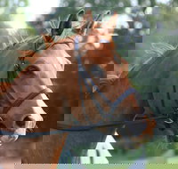 Glen William Gymkhana - E Caravan Parks