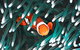 Great Barrier Reef Masters Games - thumb 1