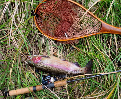 Guyra TroutFest - E Caravan Parks 0