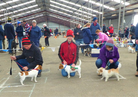Hamilton Jack Russell Terrier And Hunting Dog Show - E Caravan Parks 0