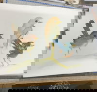 Ink  Watercolour Wash Illustration Workshop - E Caravan Parks