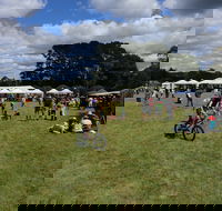 Majors Creek Festival - E Caravan Parks
